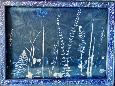 Blauer Wildwuchs im Rahmen, 2025, 70x50cm, Cyanotypie mit bemalten Rahmen